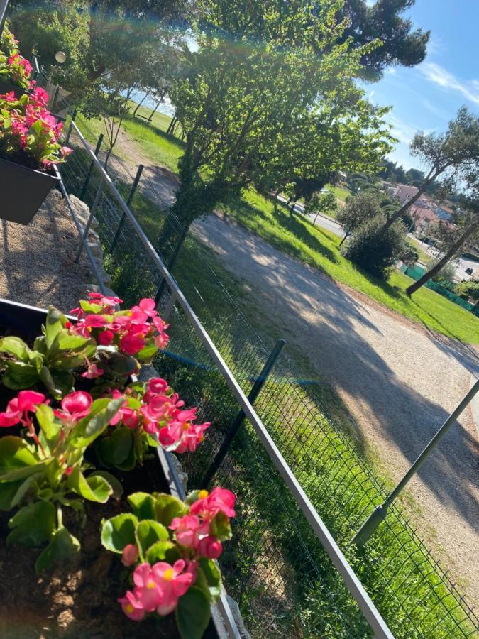 Mobile Home BIONDINA Camp Porton Biondi Rovigno Esterno foto